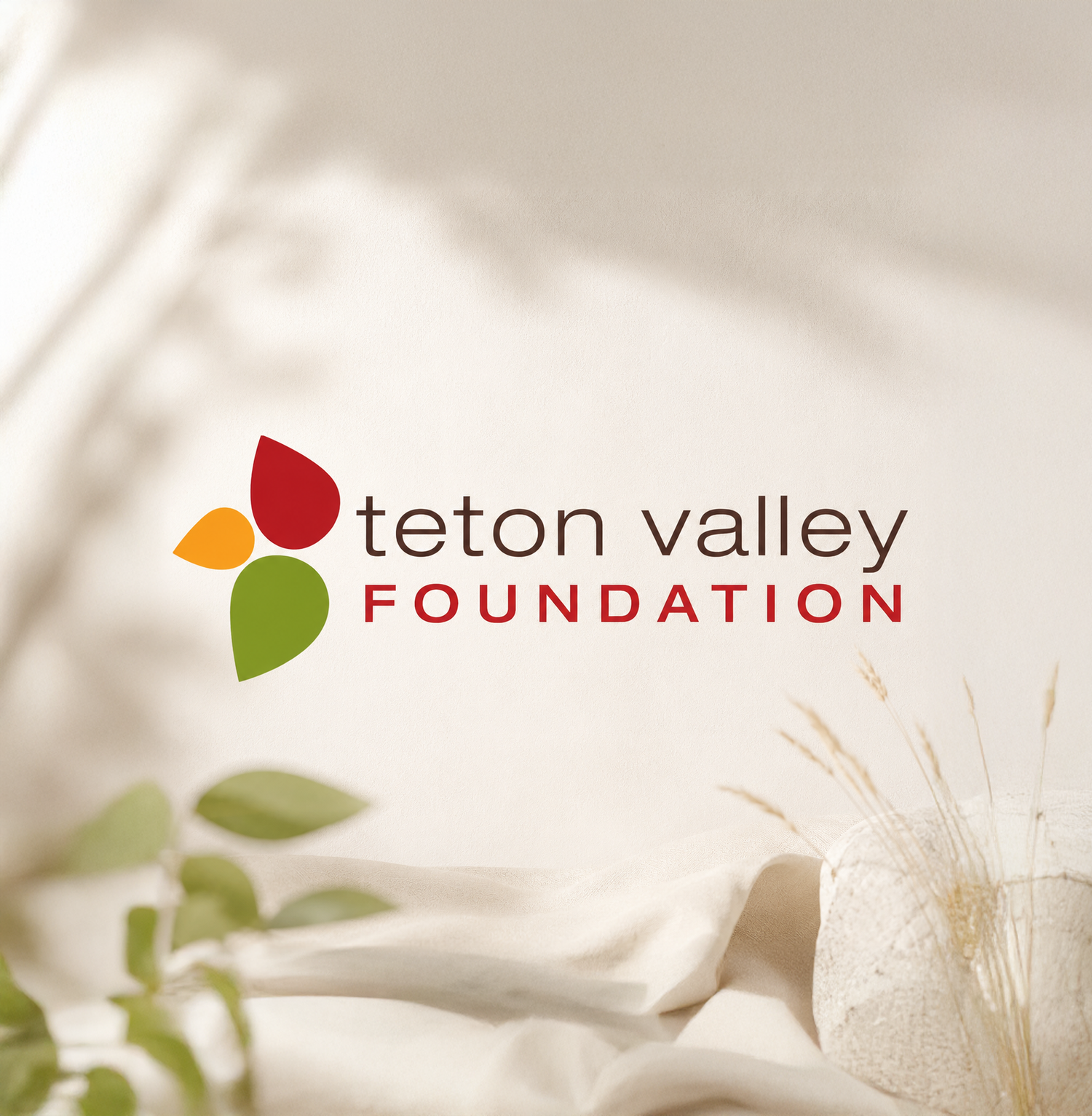 Teton Valley Foundation